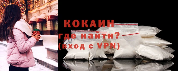 шишки Беломорск