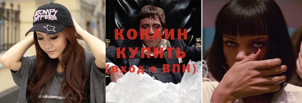 шишки Беломорск