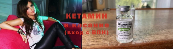 шишки Беломорск