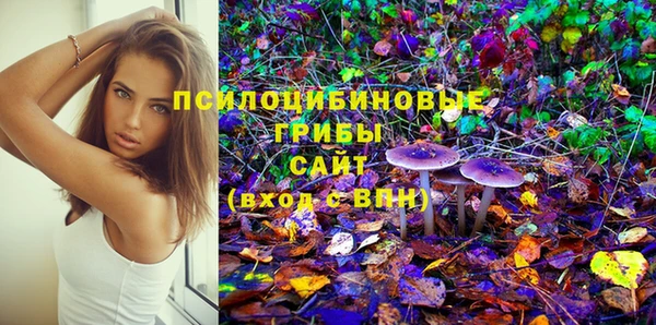 синтетический гашиш Белокуриха