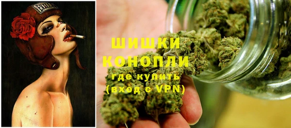 шишки Беломорск