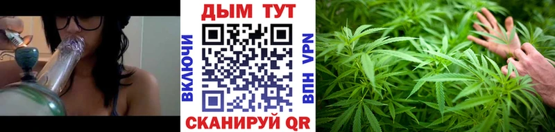 Каннабис MAZAR Куйбышев